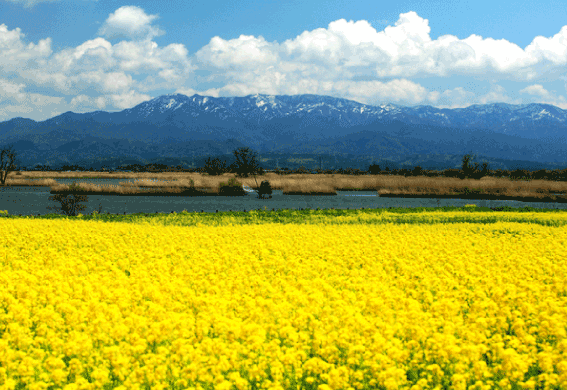 photograph of Fukushimagata -Park of Water-